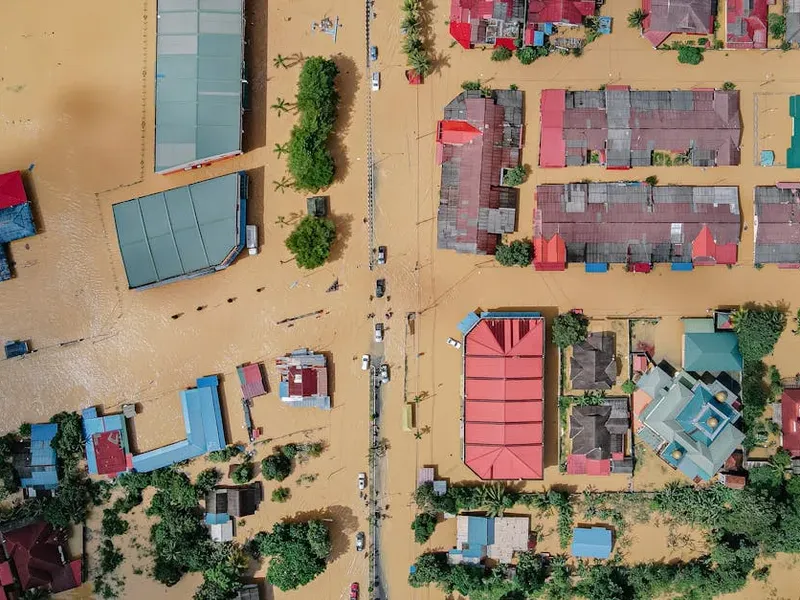 service extraction service extraction waterdamageextraction