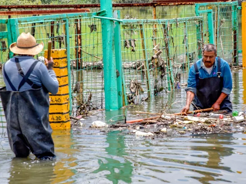 service extraction service extraction waterdamageextraction
